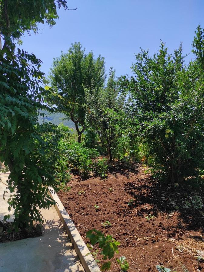 One Bedroom Apartment Gogo With Private Parking Неум Екстер'єр фото